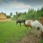 In Tuchola Forest Retreat Osiek (Pomerania)