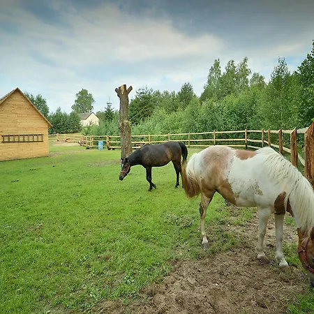 Holiday home Wooden In Skrzynia With Terrace Osiek (Pomerania)