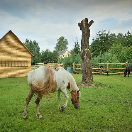Wooden In Skrzynia With Terrace Holiday home Osiek (Pomerania)