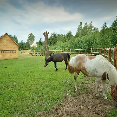 Holiday home Wooden In Skrzynia With Terrace