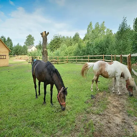 Wooden In Skrzynia With Terrace *