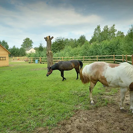 In Tuchola Forest Retreat * Osiek (Pomerania)