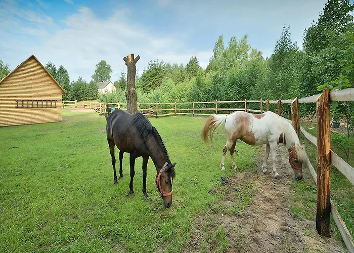 Wooden In Skrzynia With Terrace *