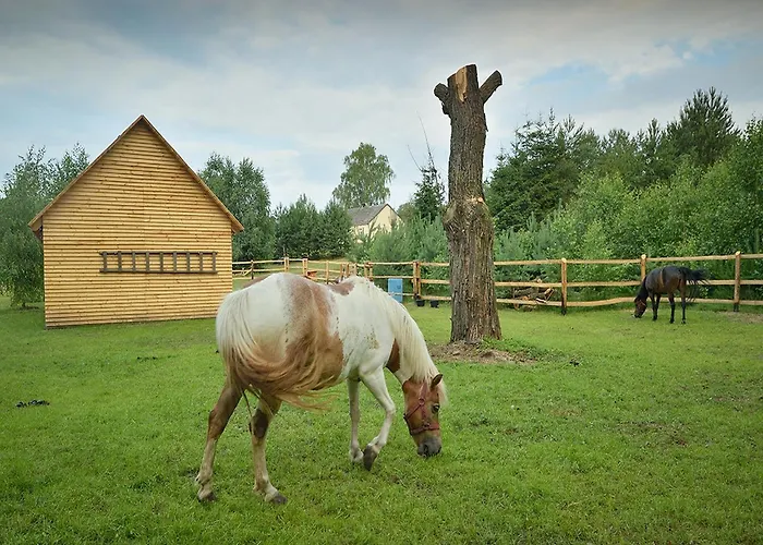 Wooden In Skrzynia With Terrace